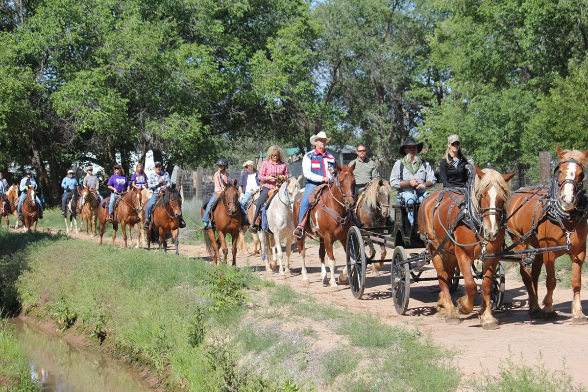 Experience the beauty of Corrales' landscapes on trail rides offered by local bed and breakfast accommodations.