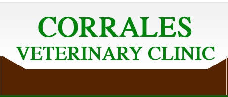 Welcome to Corrales: Where Exceptional Veterinary Services Meet Community