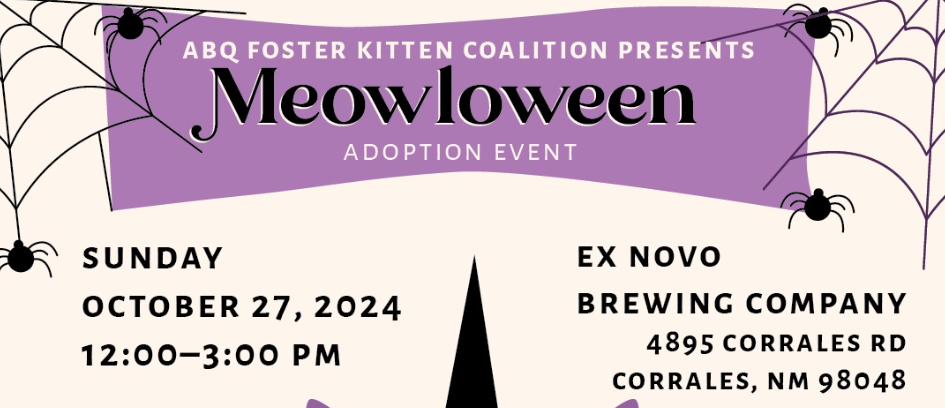 Join the Fun at the Meowloween Adoption Event in Corrales, NM